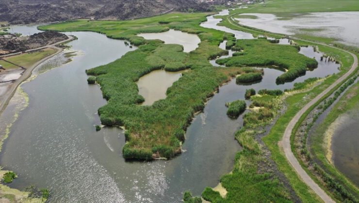 Ağrı Dağı Milli Parkı: Türkiye’nin En Yüksek ve En Kapsamlı Doğa Alanı