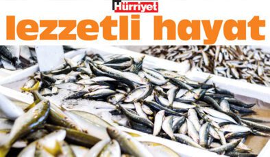 Balık Sezonunun En Doğru Seçimi: Beslenmede Omega-3 ve Sağlık Odaklı Rehber