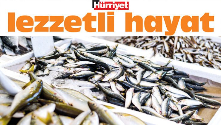 Balık Sezonunun En Doğru Seçimi: Beslenmede Omega-3 ve Sağlık Odaklı Rehber