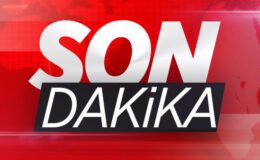 Gözaltına Alınan 8 Kişi ve Can Holding’e Yasal Adımlar: 121 Şirket Üzerinde El Kaldı