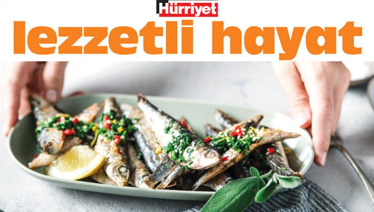 Izgara ve Zeytinyağlı Sardalya Koleksiyonu: Lezzetli Anların Pratik Tarifleri