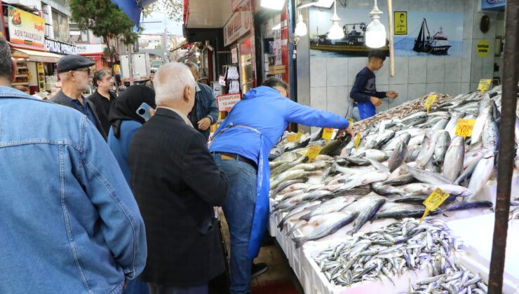Karadeniz’de Balık Bereketi: Hamsi ve İstavrit Bu Yıl Bol, Fiyatlar İyi Seviye