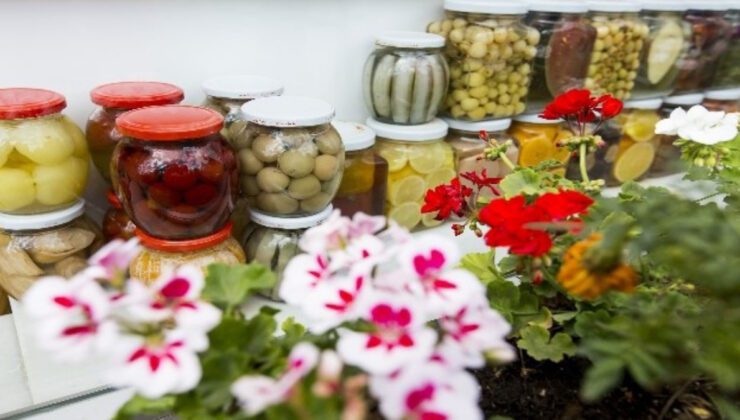 Kaya Tuzu ve Doğal Malzemelerle Turşu Yapımında Püf Noktaları