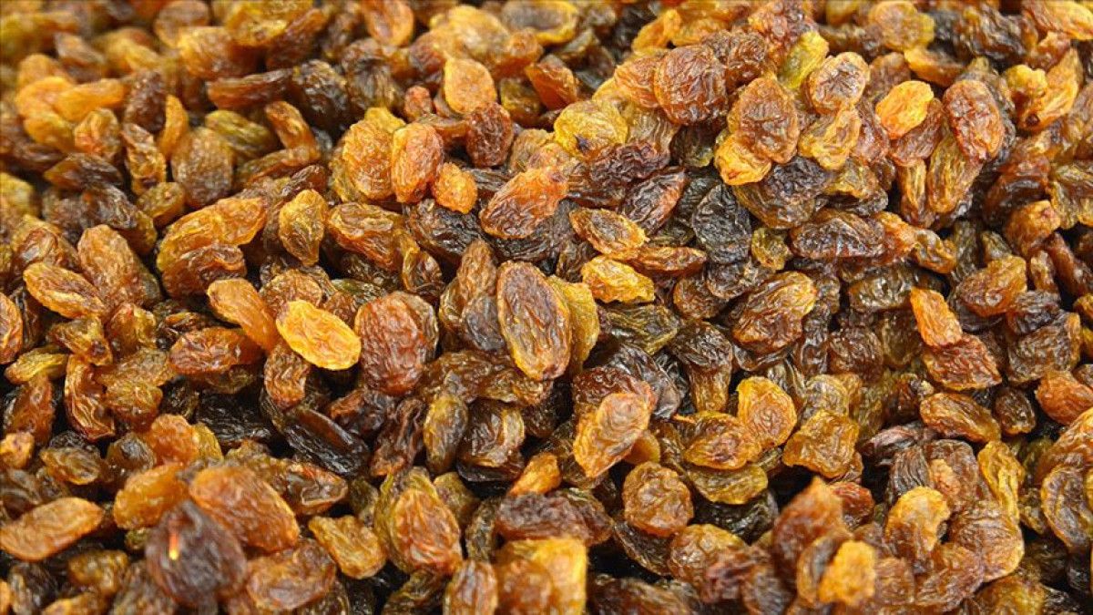 Kuru Üzüm Rakamları: Rekolte Düşüşe Rağmen İhracatta Rekor Gelir