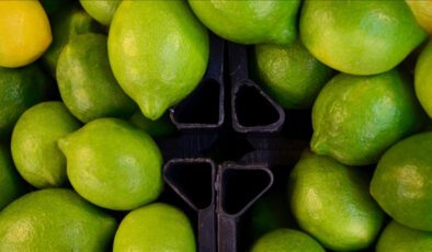 Limón ve Elma İhracatında Yeni Dış Ticaret Tedbirleri ve İç Piyasa Dengenin Korunması