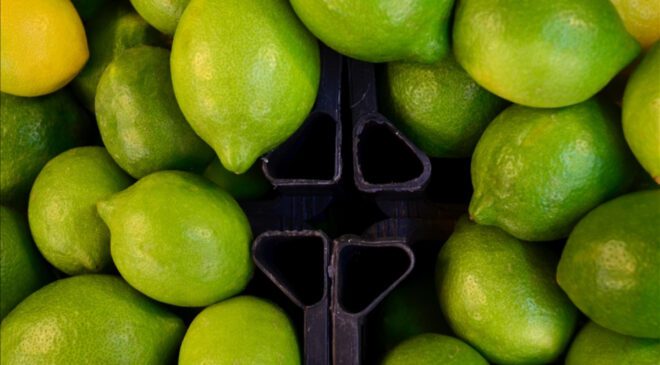 Limón ve Elma İhracatında Yeni Dış Ticaret Tedbirleri ve İç Piyasa Dengenin Korunması