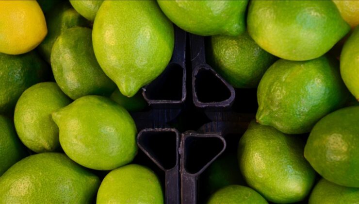 Limón ve Elma İhracatında Yeni Dış Ticaret Tedbirleri ve İç Piyasa Dengenin Korunması