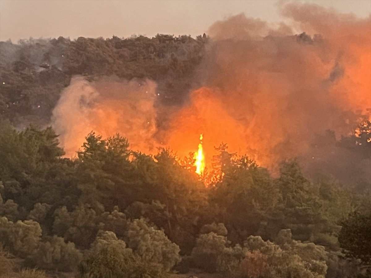 Muğla ve Antalya’da Orman Yangınları: Müdahaleler Sürüyor ve Alanlar Boşaltılıyor