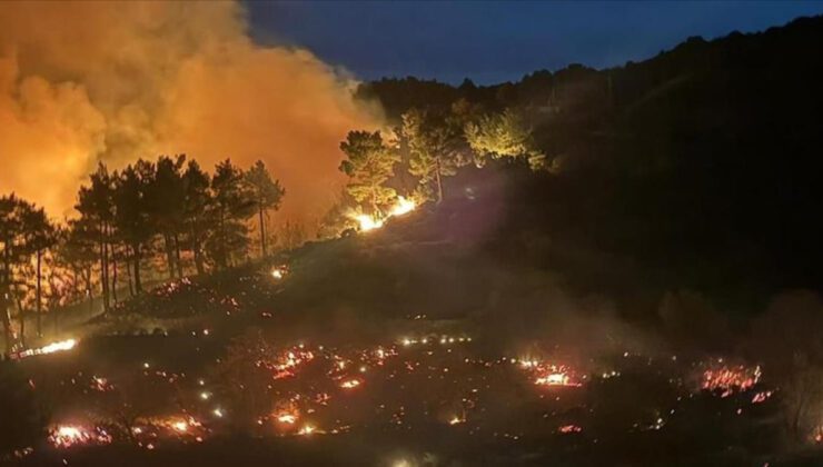 Muğla ve Antalya’da Orman Yangınları: Müdahaleler Sürüyor ve Alanlar Boşaltılıyor