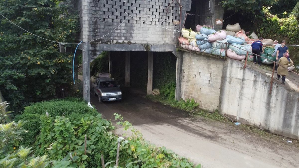 Rize’nin Tütüncüler Köyü’nde Yol Üstünde Çay Alımı: Tarihi Bir Çözüm