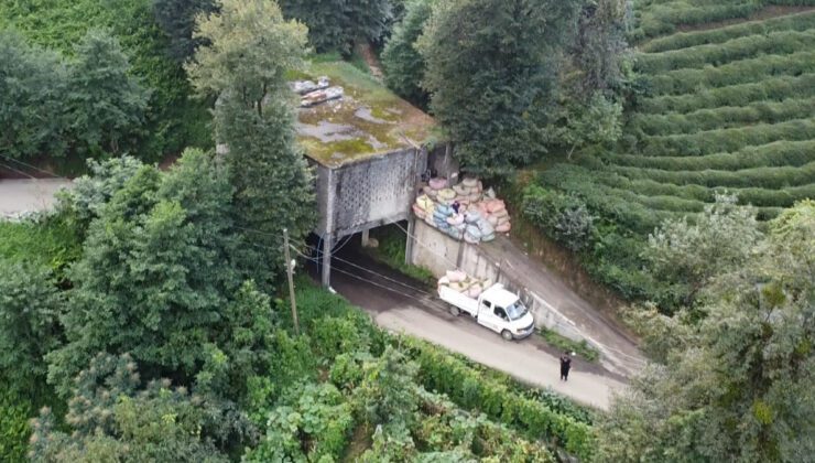 Rize’nin Tütüncüler Köyü’nde Yol Üstünde Çay Alımı: Tarihi Bir Çözüm