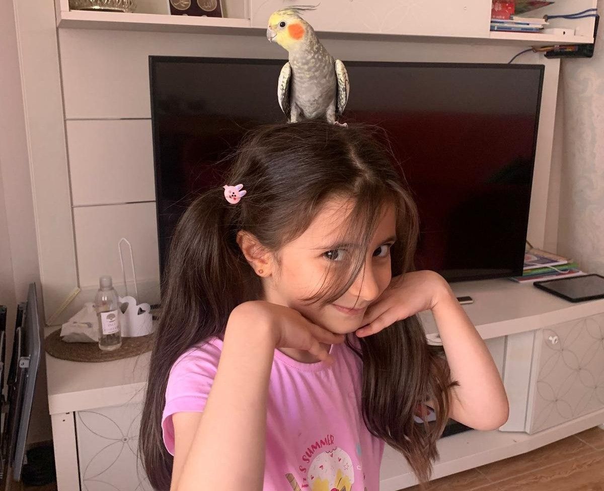 Siirt’te Kayıp Zeytin: İki Kardeşin Umutla Geri Dönüş Mücadelesi