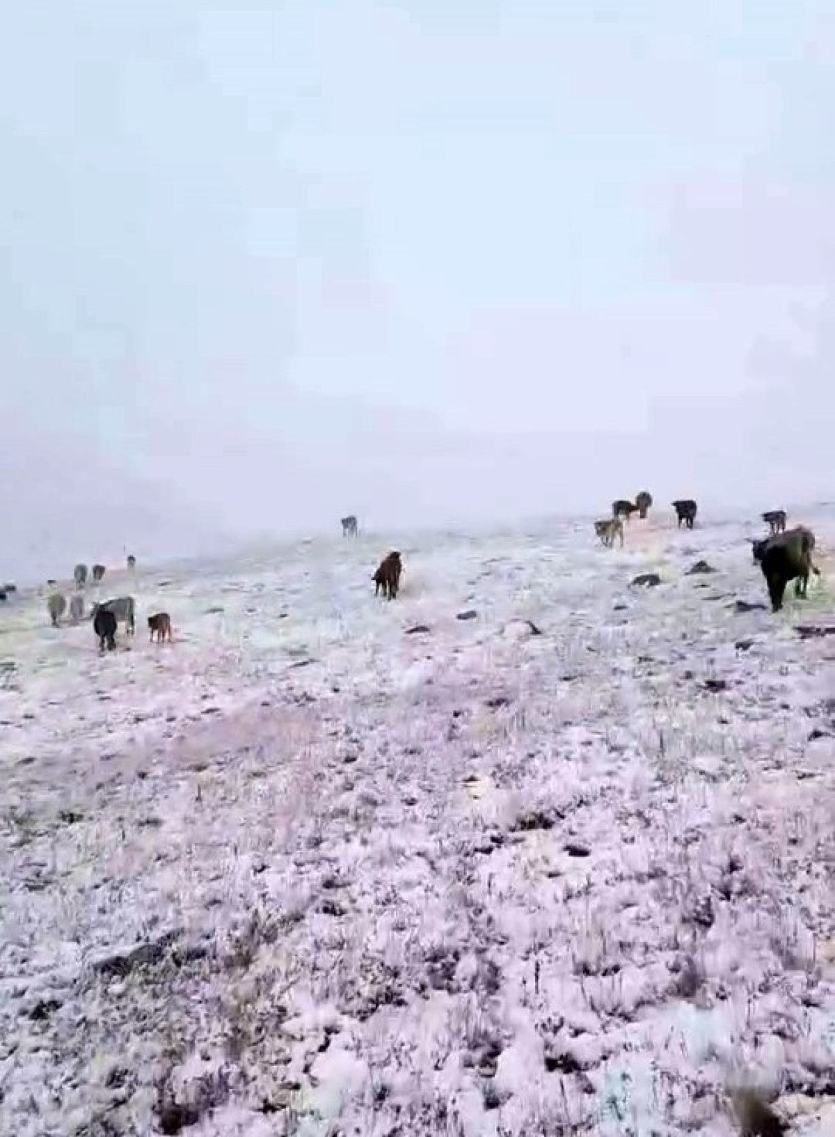 Yedigöller'de İlk Kar Sezonun Habercisi: Doğaseverler Harekete Geçti